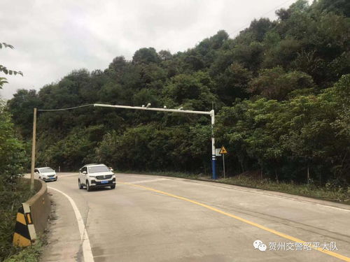 昭平新增道路臨控設備抓拍 不看你會吃大虧