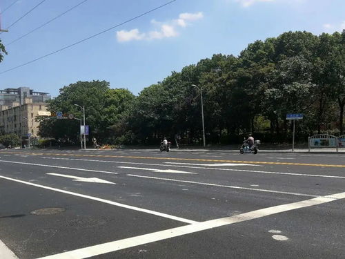 為民辦實事 寶山區(qū)7條道路變身精品示范路