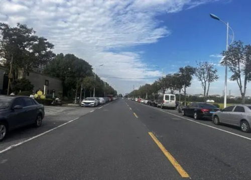 2025年為民辦實(shí)事項(xiàng)目 農(nóng)村公路提檔升級(jí)改造工程全面竣工，鄉(xiāng)村道路設(shè)施實(shí)現(xiàn)歷史性跨越